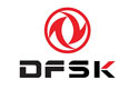 DFSK remap